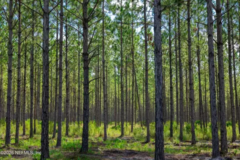 lot11 SE 40th Ave, Starke, FL 32091 photo 26