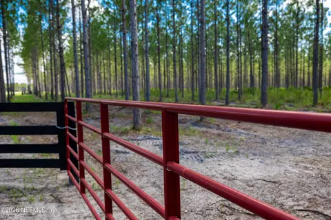 lot11 SE 40th Ave, Starke, FL 32091 photo 11