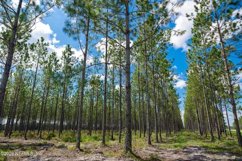 lot12 SE 40th Ave, Starke, FL 32091 photo 14