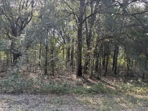 0 Debra Cir, Interlachen, FL 32148 photo 9