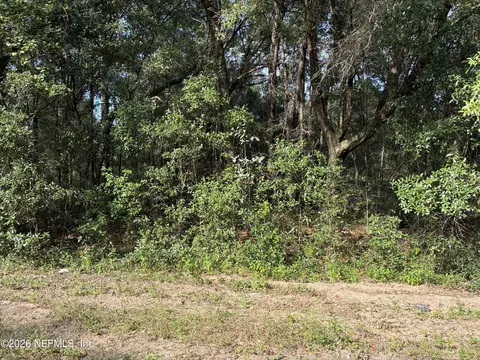 0 Debra Cir, Interlachen, FL 32148 photo 4