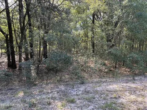 0 Debra Cir, Interlachen, FL 32148 photo 8