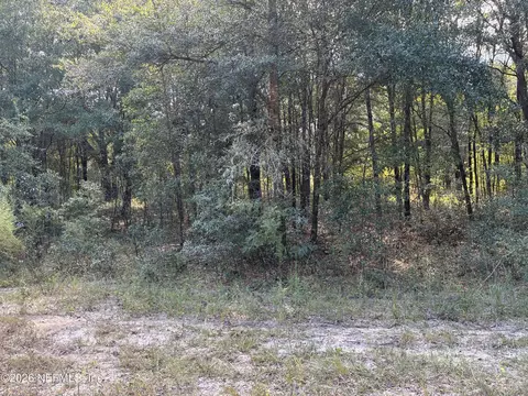 0 Debra Cir, Interlachen, FL 32148 photo 10