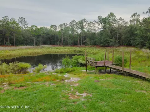 203 Pond Cir, Interlachen, FL 32148 photo 12