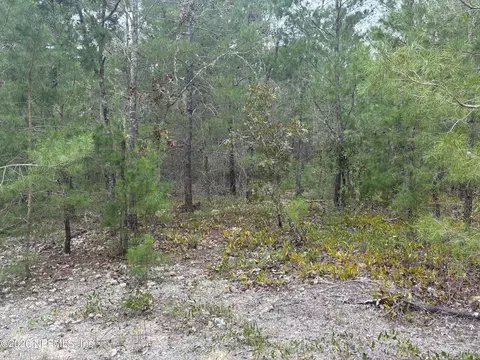 0240 SW 58th Ave, Interlachen, FL 32148 photo 2