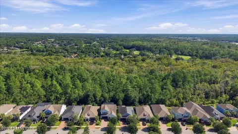 View/Area - 353 Rivercliff Trl, Saint Augustine, FL 32092 photo 3 of 11