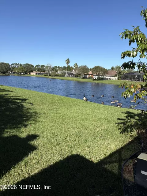 2253 Bristol Spring Ct, Jacksonville, FL 32246