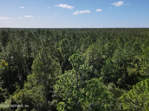 00 Nutcracker St, Palatka, FL 32177 photo 5