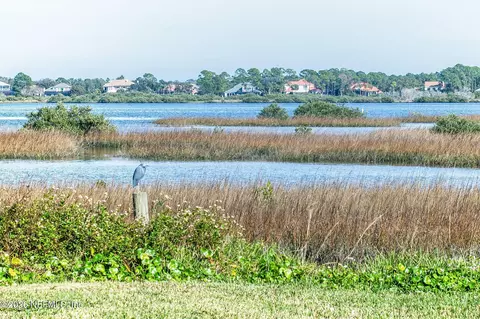 View/Area - 507 Gentian Rd, Saint Augustine, FL 32086 photo 8 of 13