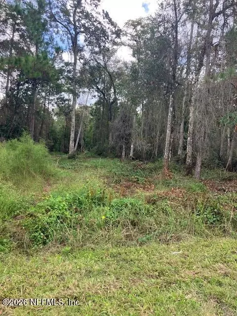 1881 Hazelnut St, Bunnell, FL 32110 photo 2