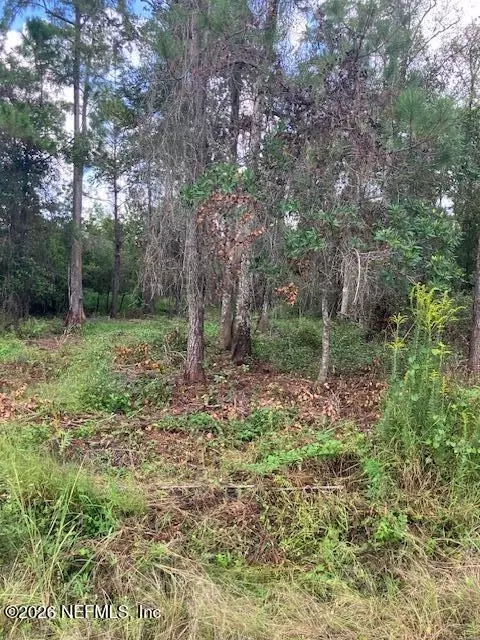 1881 Hazelnut St, Bunnell, FL 32110 photo 5