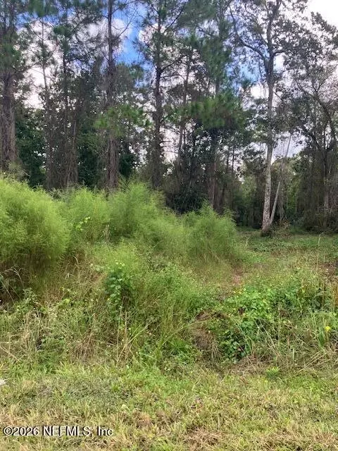 1881 Hazelnut St, Bunnell, FL 32110 photo 3