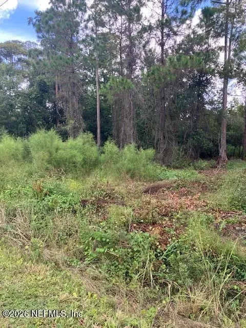 1881 Hazelnut St, Bunnell, FL 32110 photo 4