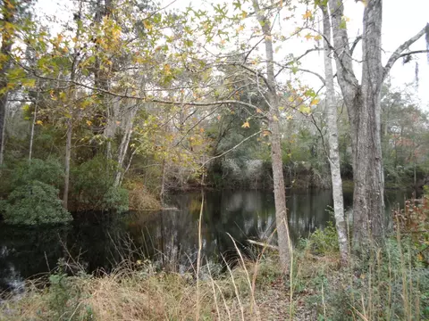 2312 Pages Dairy Rd, Yulee, FL 32097 photo 4