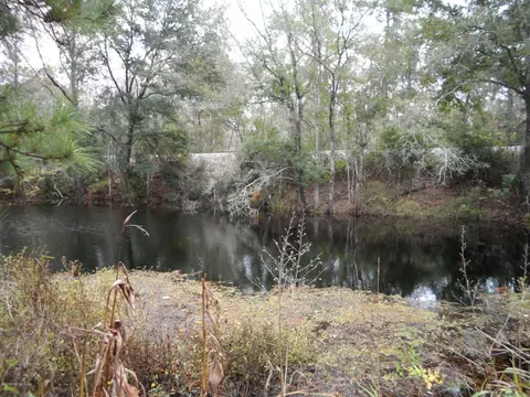 2312 Pages Dairy Rd, Yulee, FL 32097 photo 2