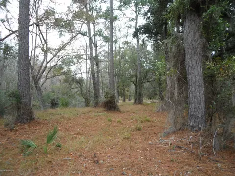 2312 Pages Dairy Rd, Yulee, FL 32097 photo 6