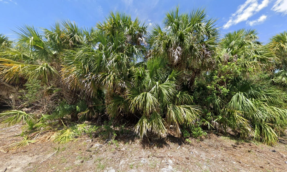 847 Nightengale St SW  