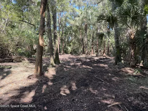 0000 Valkaria Rd, Malabar, FL 32950 photo 9