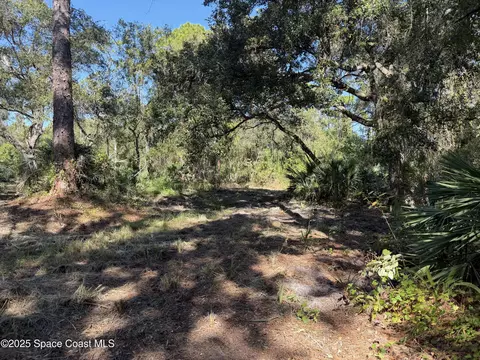 0000 Valkaria Rd, Malabar, FL 32950 photo 4