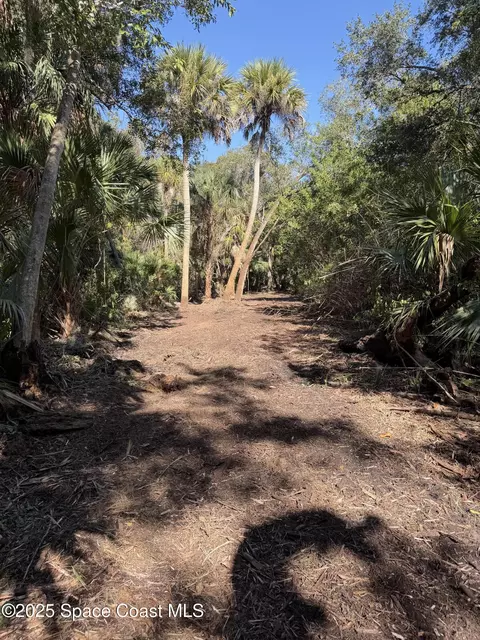 0000 Valkaria Rd, Malabar, FL 32950 photo 6