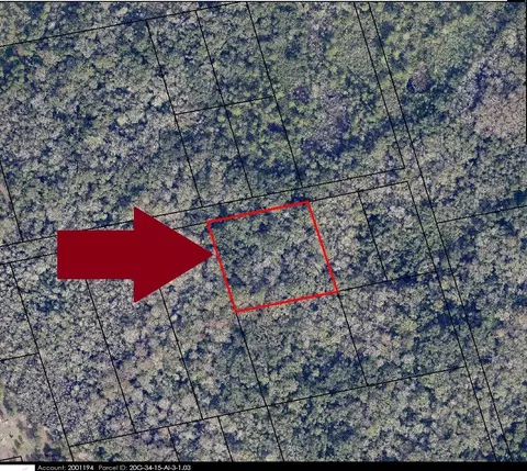 00000 No Access W Of Meadows Green Rd, Mims, FL 32754