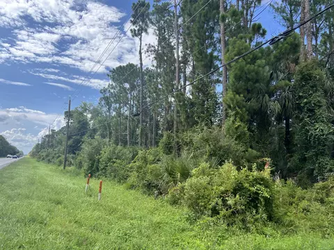 0000 Highway 46, Geneva, FL 32732 photo 5
