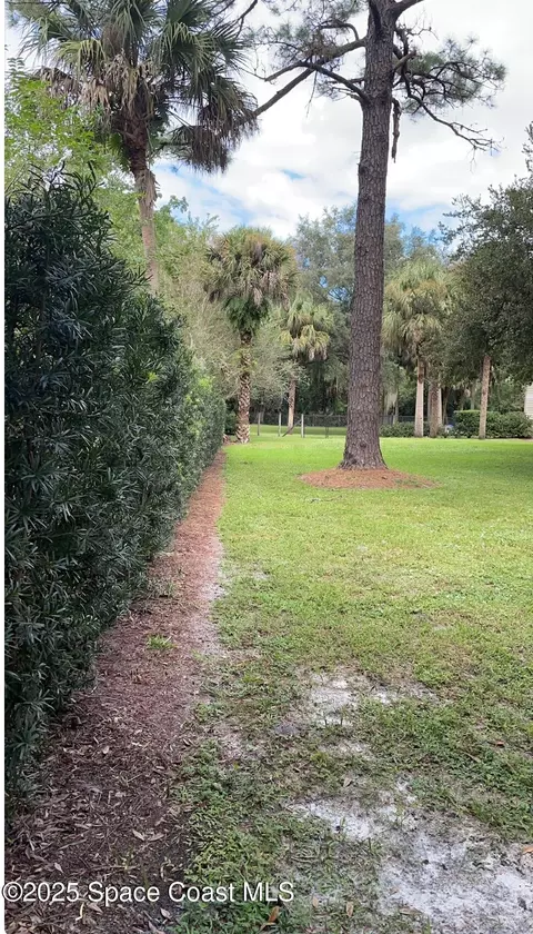 Exterior - 4200 Tangelo Ave, Cocoa, FL 32926 photo 6 of 10