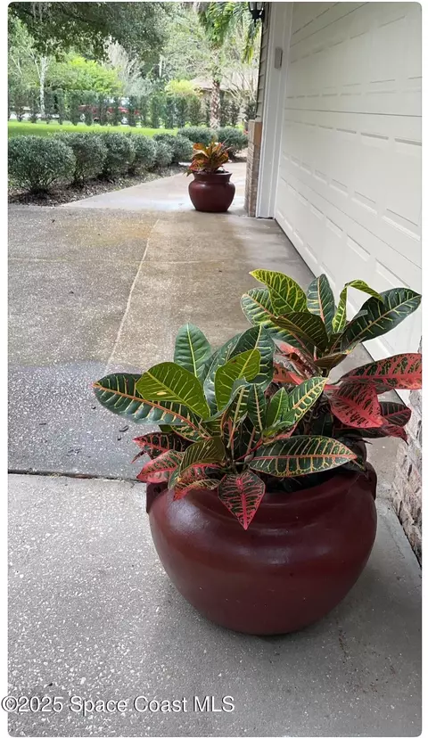 Exterior - 4200 Tangelo Ave, Cocoa, FL 32926 photo 7 of 10