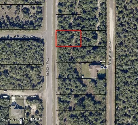 3313 Madden Ave SW, Palm Bay, FL 32908