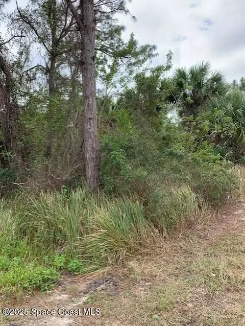 1158 Satin Rd SW, Palm Bay, FL 32908