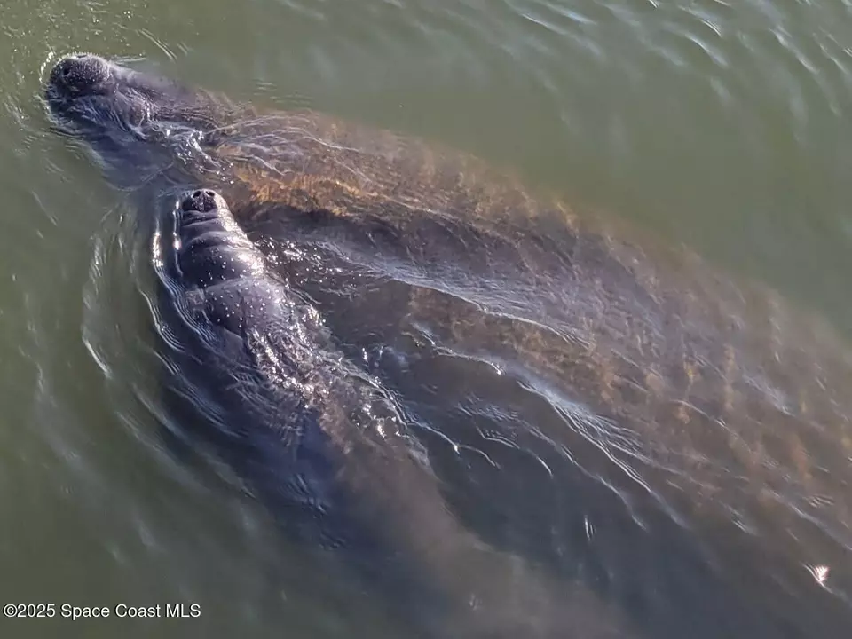 Other - 190 Escambia Ln #402, Cocoa Beach, FL 32931 photo 6 of 18