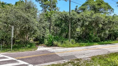 4300 Burkholm Rd, Mims, FL 32754