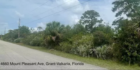 4660 Mount Pleasant Ave, Grant-valkaria, FL 32949