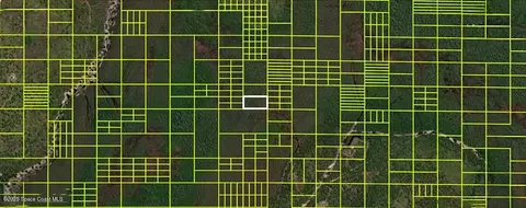 14110020 Holopaw Groves Rd, Saint Cloud, FL 34773