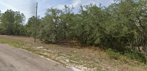 6940 N Lime Dr, Dunnellon, FL 34433