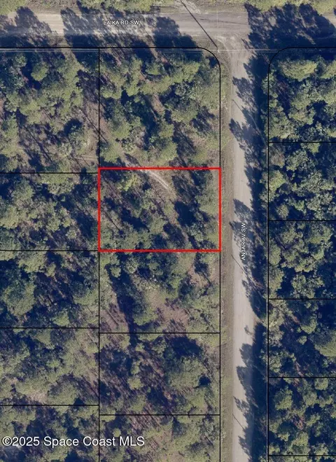 2814 Anjar Ave SW, Palm Bay, FL 32908