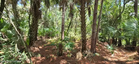 100 NW 38th Ave, Okeechobee, FL 34972 photo 10