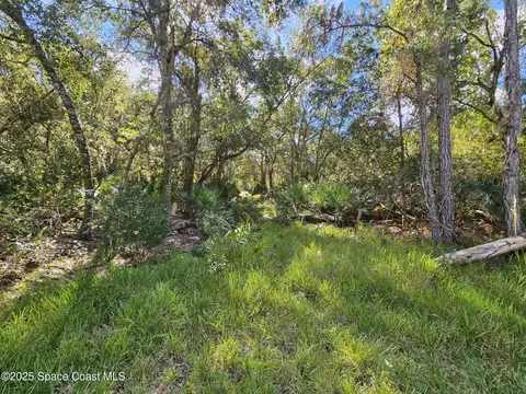 4600 N Beacon Light Rd N, Edgewater, FL 32141 photo 15