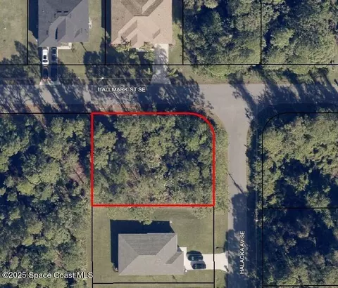 3200 Halacka Ave SE, Palm Bay, FL 32909