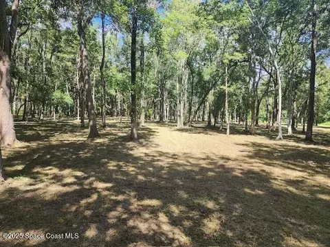 4110 Hampton Ln, Mims, FL 32754 photo 22