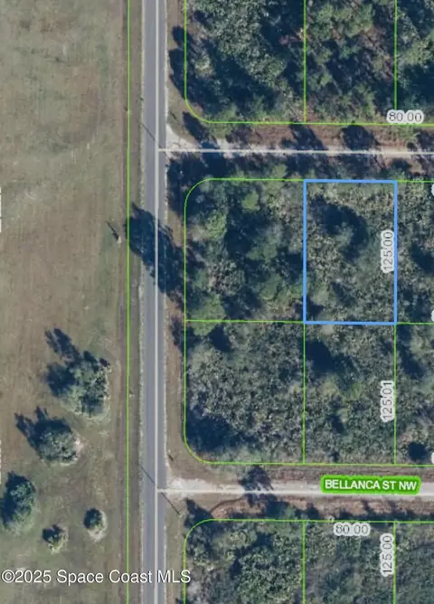 762 American St NW, Lake Placid, FL 33852
