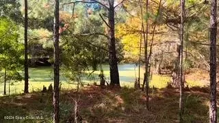 882 County Road 310, Interlachen, FL 32148 photo 5