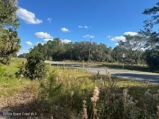 882 County Road 310, Interlachen, FL 32148 photo 11