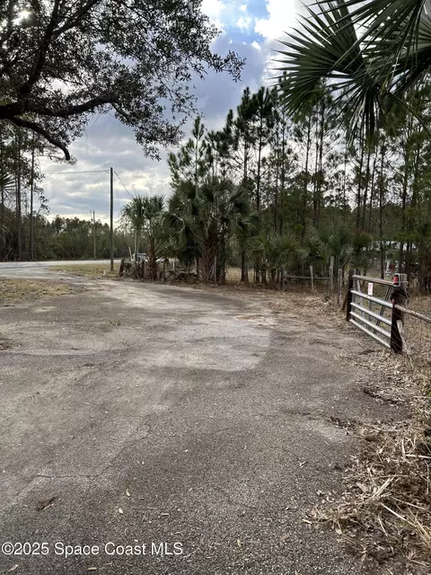 882 County Road 310, Interlachen, FL 32148 photo 6
