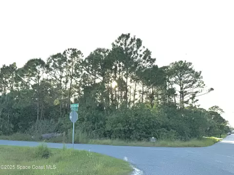 175 Foley St SE, Palm Bay, FL 32909