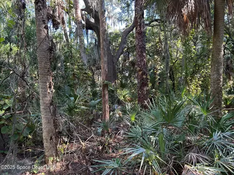 2845 Sunset Rd, Melbourne, FL 32904 photo 7