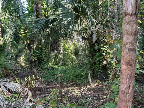2845 Sunset Rd, Melbourne, FL 32904 photo 9