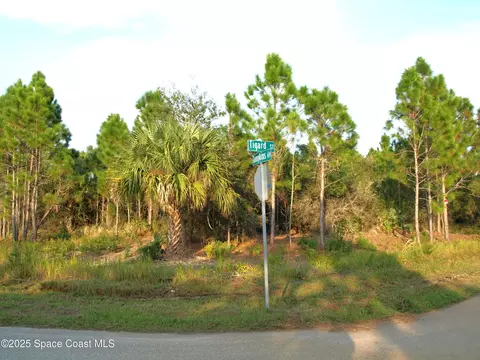 1615 Tigard St SE, Palm Bay, FL 32909