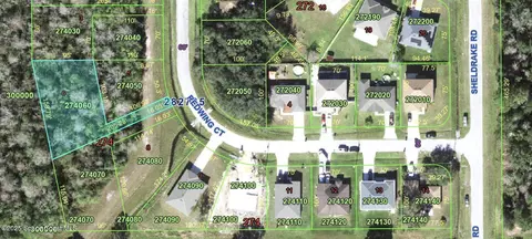153 Redwing Ct, Poinciana, FL 34759