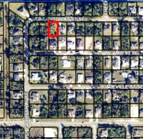 336 Tobias St SE, Palm Bay, FL 32909